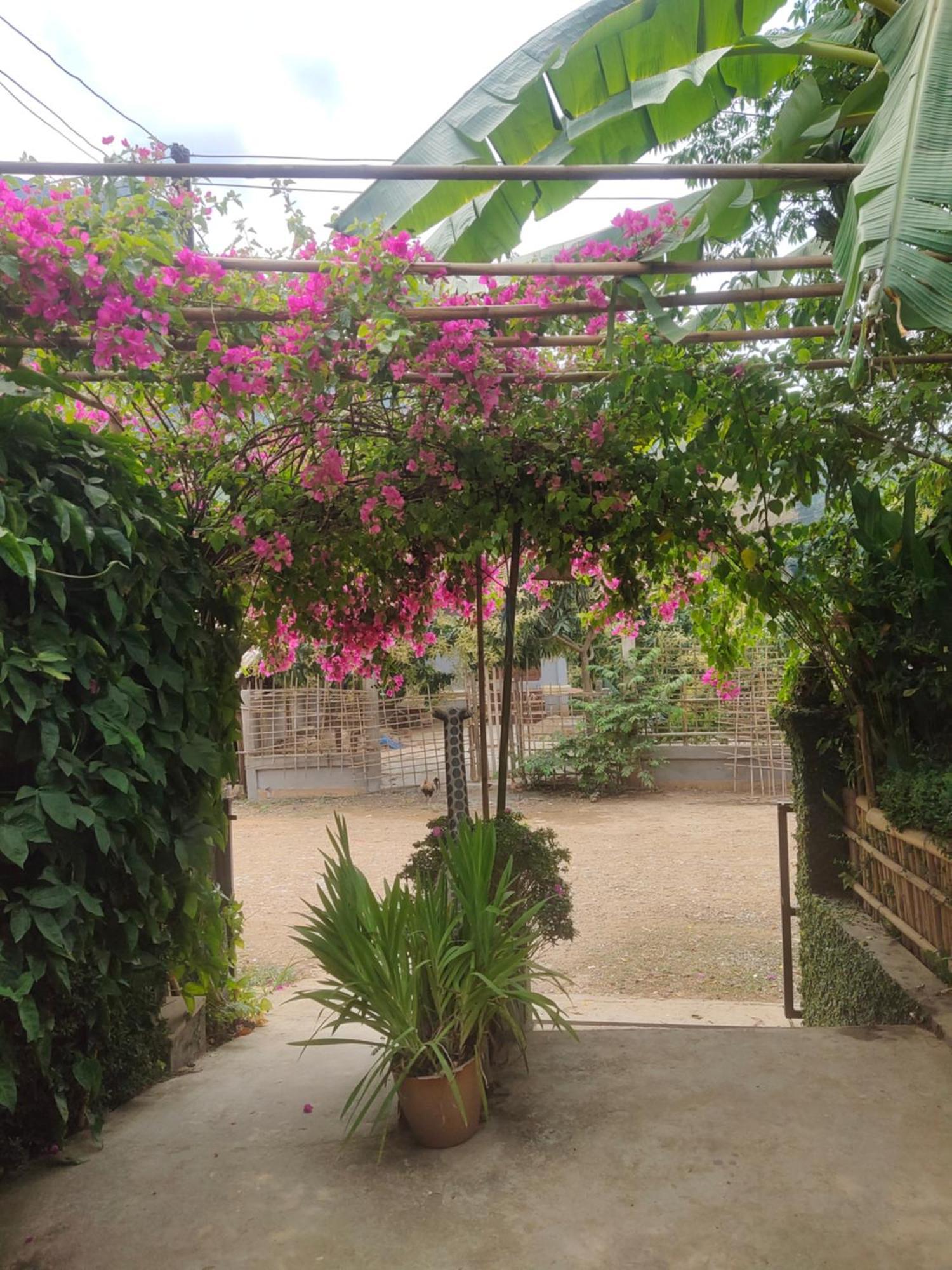 Meexok Guesthouse Нонгкио Экстерьер фото